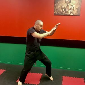Beginner Adult & Teen Martial Arts and Fitness with Life Goal Curriculum (white to purple belt)