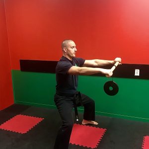 Beginner Children's Martial Arts and Fitness with Character Curriculum (white to purple belt)